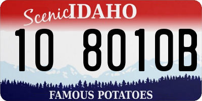 ID license plate 1O8010B