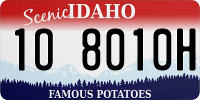 ID license plate 1O8010H