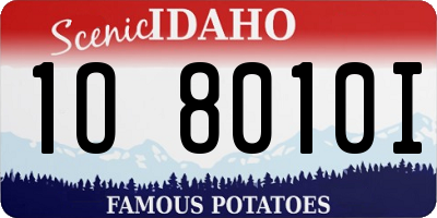 ID license plate 1O8010I