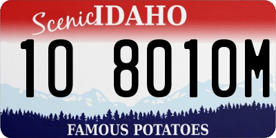ID license plate 1O8010M