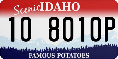 ID license plate 1O8010P