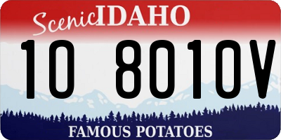 ID license plate 1O8010V