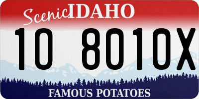 ID license plate 1O8010X