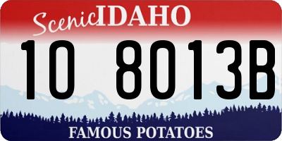 ID license plate 1O8013B