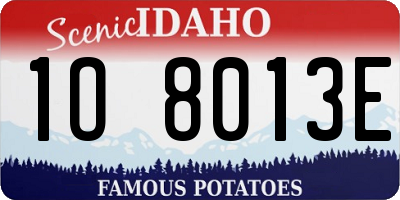 ID license plate 1O8013E
