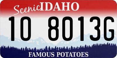 ID license plate 1O8013G