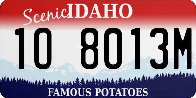 ID license plate 1O8013M