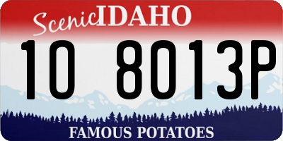 ID license plate 1O8013P