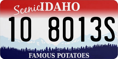 ID license plate 1O8013S