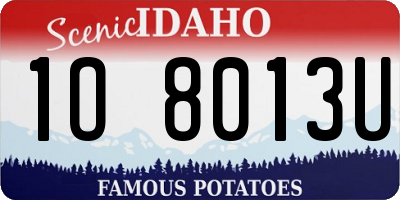 ID license plate 1O8013U