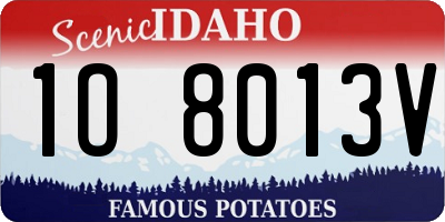 ID license plate 1O8013V
