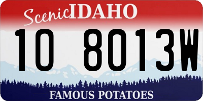 ID license plate 1O8013W
