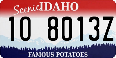 ID license plate 1O8013Z