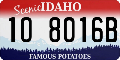 ID license plate 1O8016B