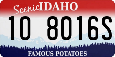 ID license plate 1O8016S