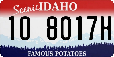 ID license plate 1O8017H