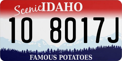 ID license plate 1O8017J