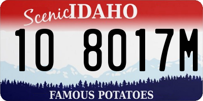 ID license plate 1O8017M
