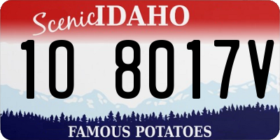 ID license plate 1O8017V