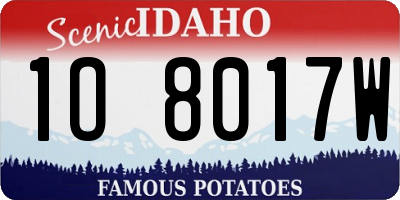 ID license plate 1O8017W