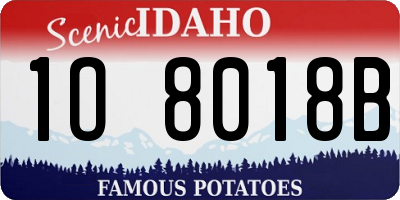 ID license plate 1O8018B