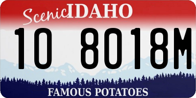 ID license plate 1O8018M