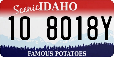 ID license plate 1O8018Y