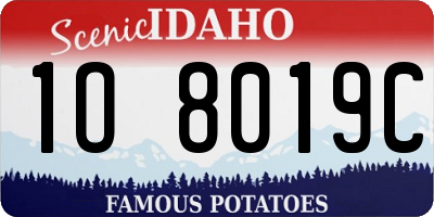 ID license plate 1O8019C