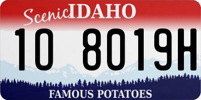 ID license plate 1O8019H