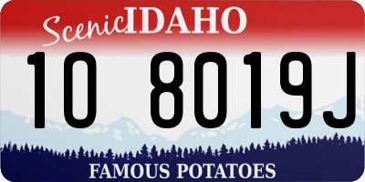 ID license plate 1O8019J