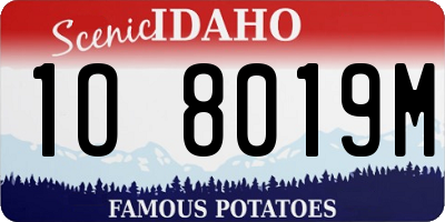 ID license plate 1O8019M