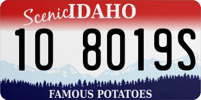 ID license plate 1O8019S