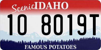 ID license plate 1O8019T