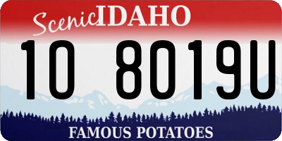 ID license plate 1O8019U