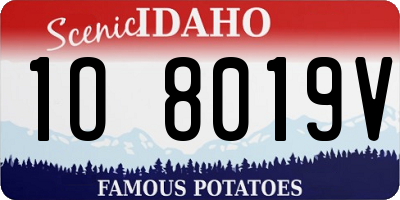 ID license plate 1O8019V