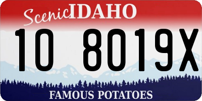 ID license plate 1O8019X