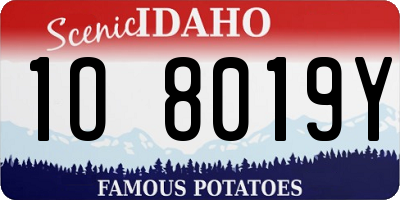 ID license plate 1O8019Y