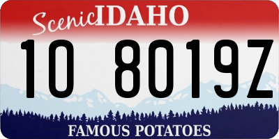 ID license plate 1O8019Z