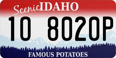 ID license plate 1O8020P