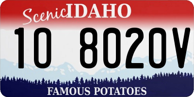 ID license plate 1O8020V