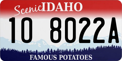 ID license plate 1O8022A