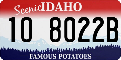 ID license plate 1O8022B