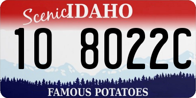 ID license plate 1O8022C