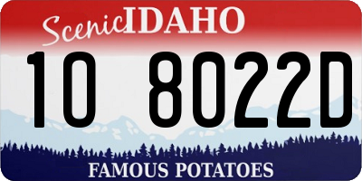 ID license plate 1O8022D