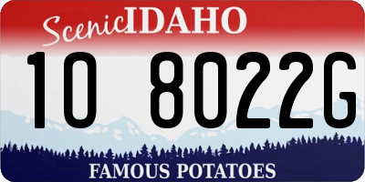 ID license plate 1O8022G