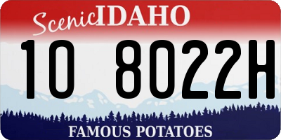 ID license plate 1O8022H