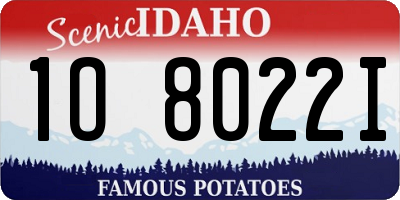 ID license plate 1O8022I