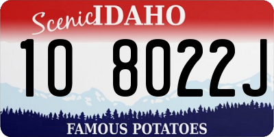 ID license plate 1O8022J
