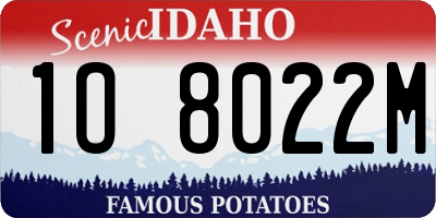 ID license plate 1O8022M
