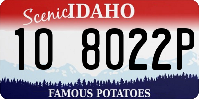 ID license plate 1O8022P